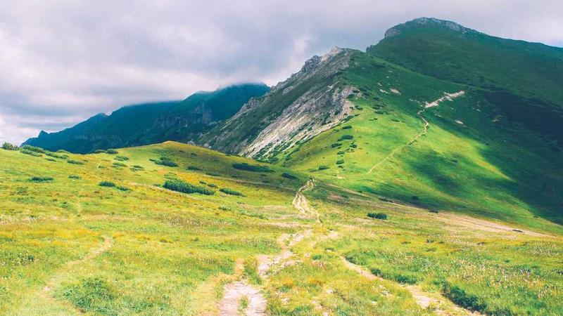 Napolyonbet Canlı Slot ve Bahis Deneyimi