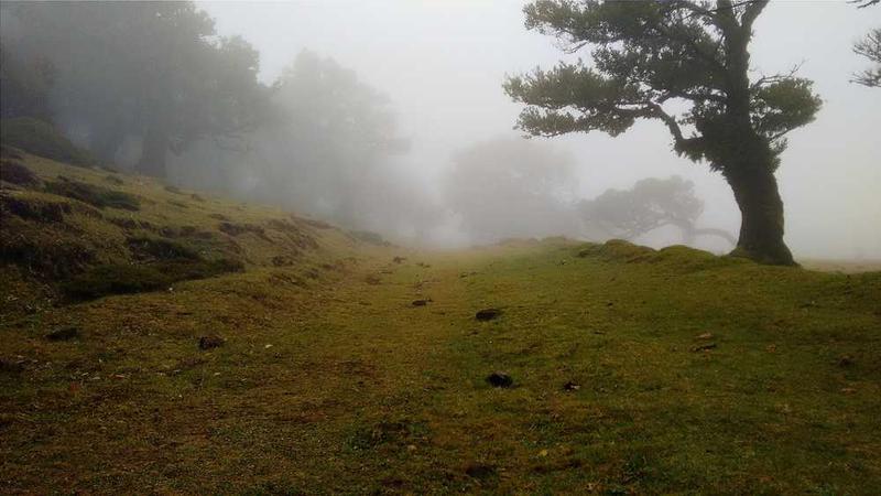 Bahis ve Canlı Slot